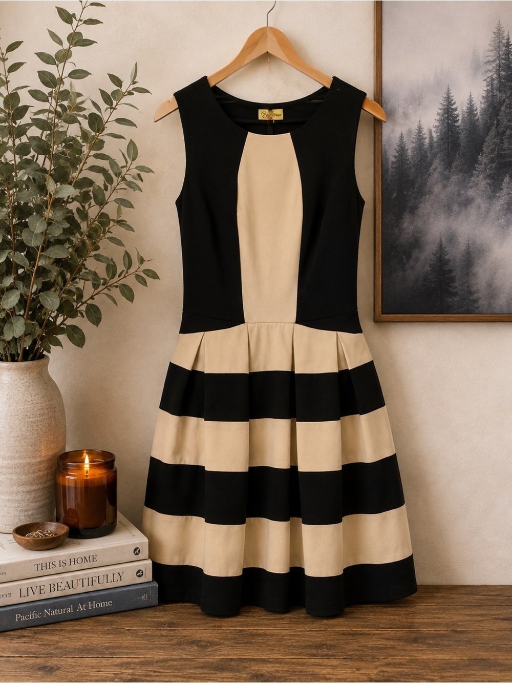 Eva Franco Black Cream Colorblock Pleated Sleeveless Dress